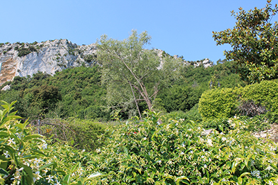 Aussicht von unserer Terrasse
